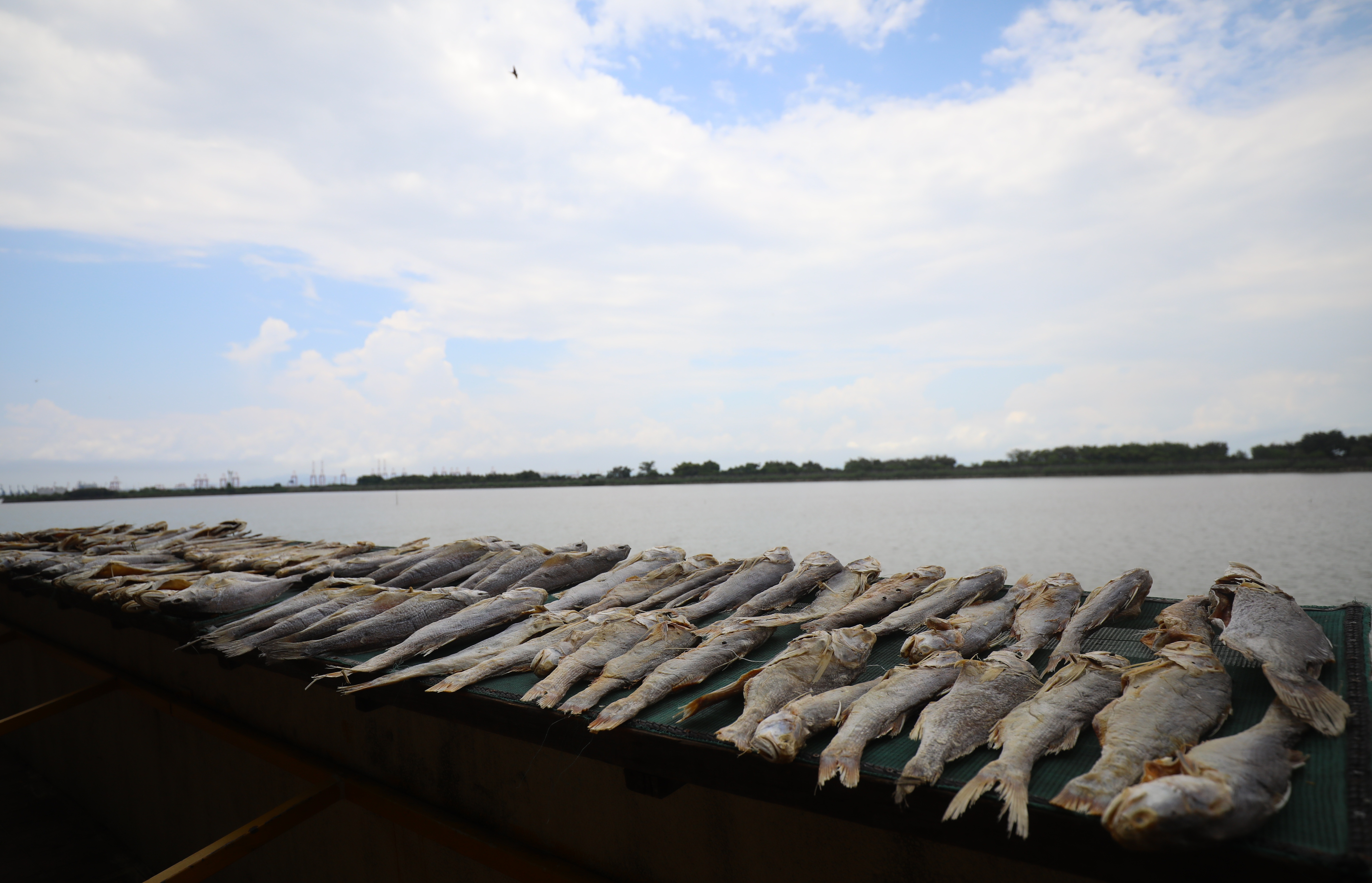 越秀喜来登酒店供图