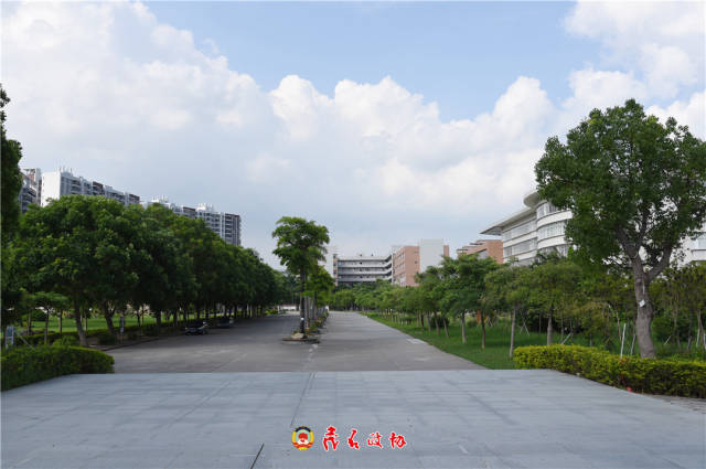 电白一中百年校庆_水东湾红树林学校_电白县第一中学