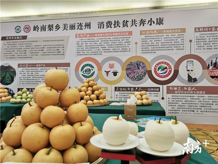 美味可口的连州水晶梨。 段灿摄 美味可口的连州水晶梨。 段灿摄