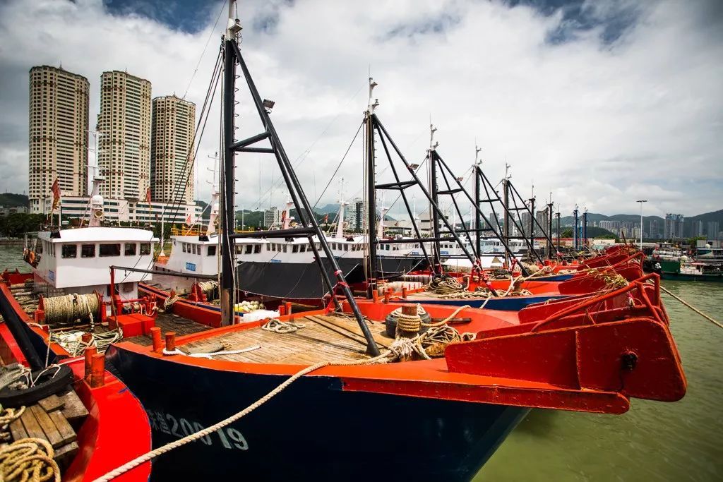 8月10日起珠海将关闭香洲渔港渔业功能