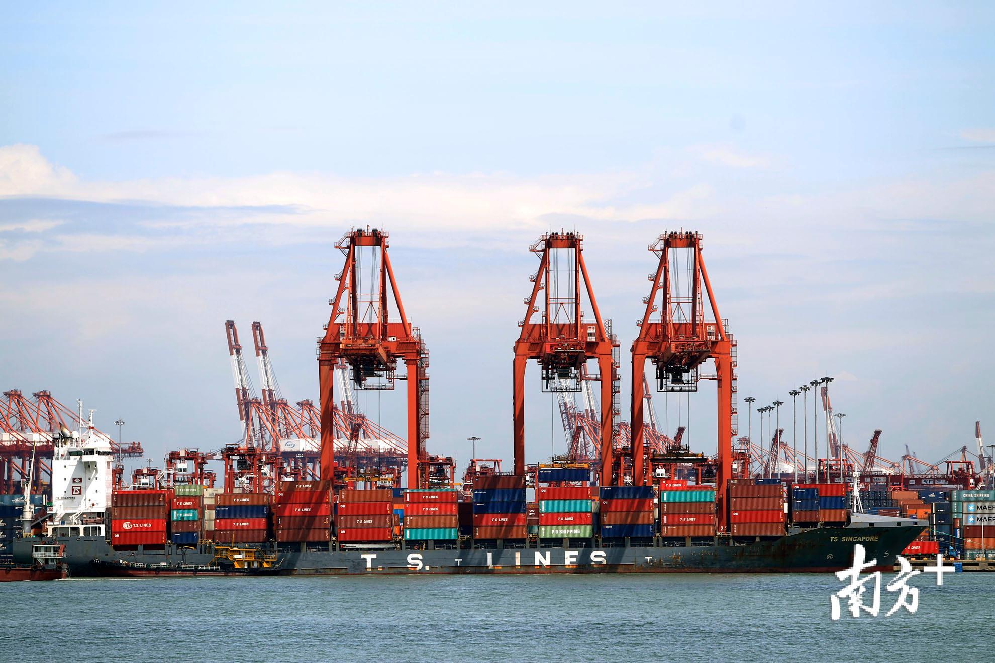 深圳港。鲁力 摄