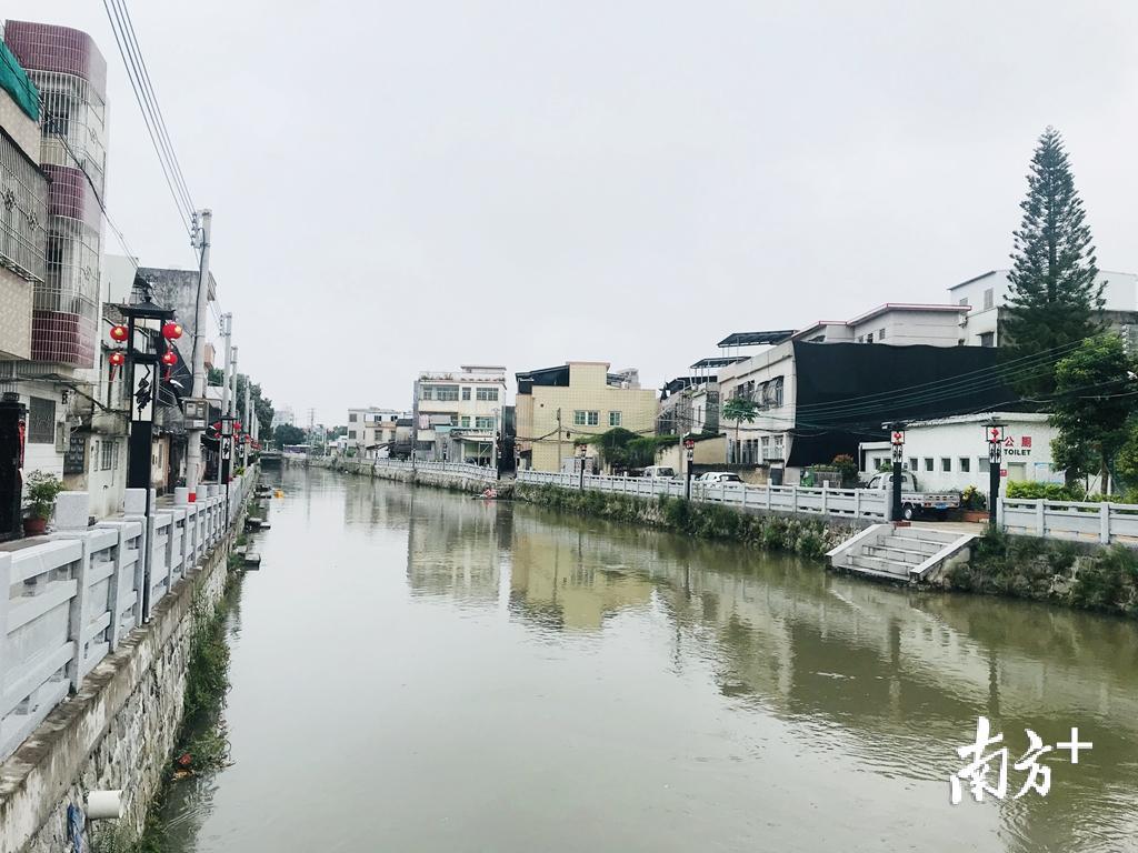 经过整治,苏隆排渠水质改善不少。 经过整治,苏隆排渠水质改善不少。