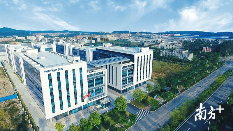 广州管理总部大楼。 广州管理总部大楼。