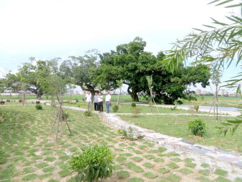 北山村小公园绿意盎然，生机勃勃。黄健新 摄