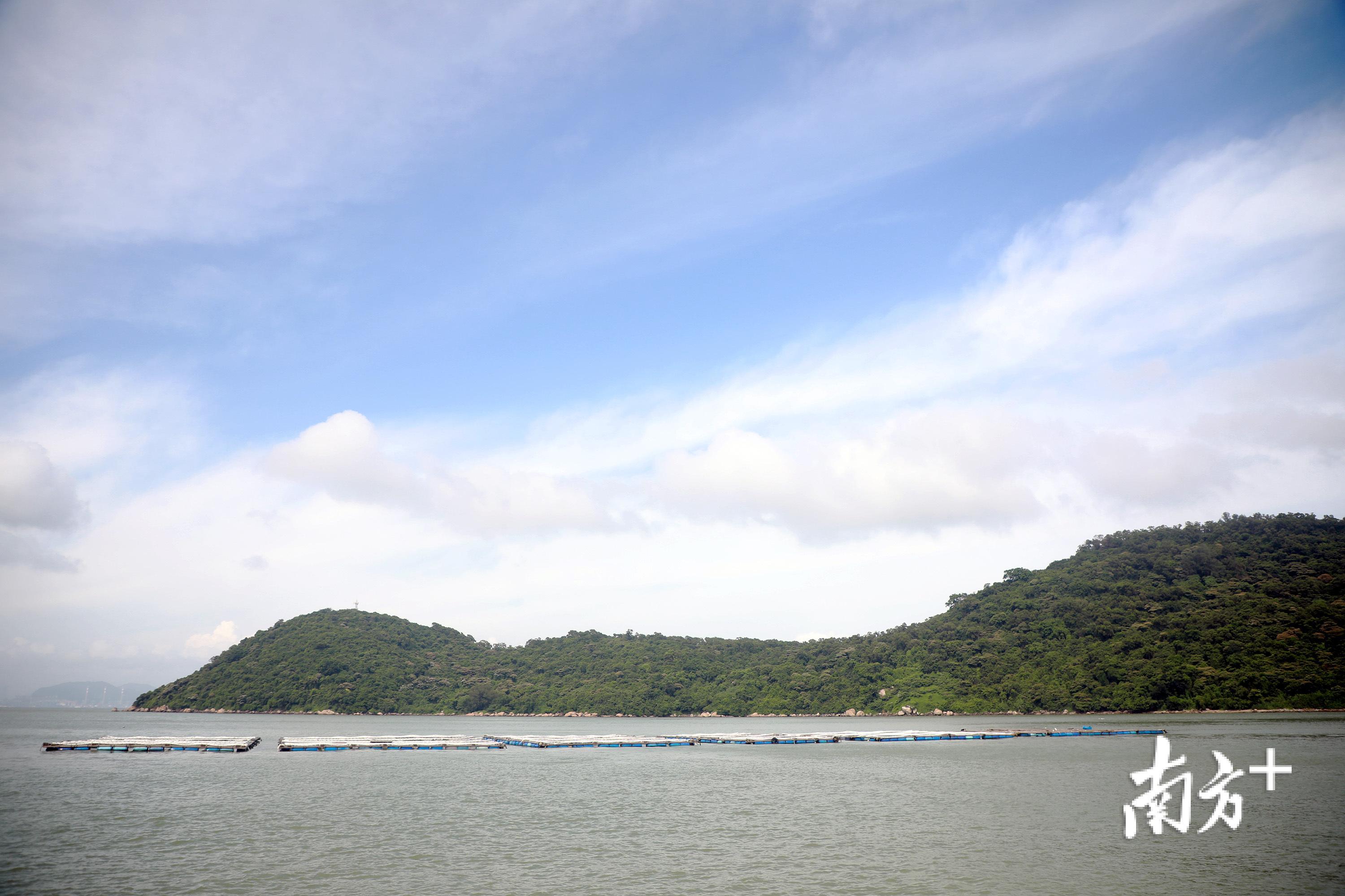 守护世外桃源近30年深圳内伶仃岛的守岛人日记