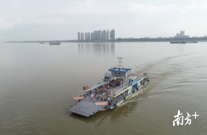 周一至周五早上7时许,佛山市南海区九江镇海寿渡口处,130多名学生手拉着手,在14位老师的陪伴下,乘坐渡轮驶向对岸的海寿岛。 周一至周五早上7时许,佛山市南海区九江镇海寿渡口处,130多名学生手拉着手,在14位老师的陪伴下,乘坐渡轮驶向对岸的海寿岛。