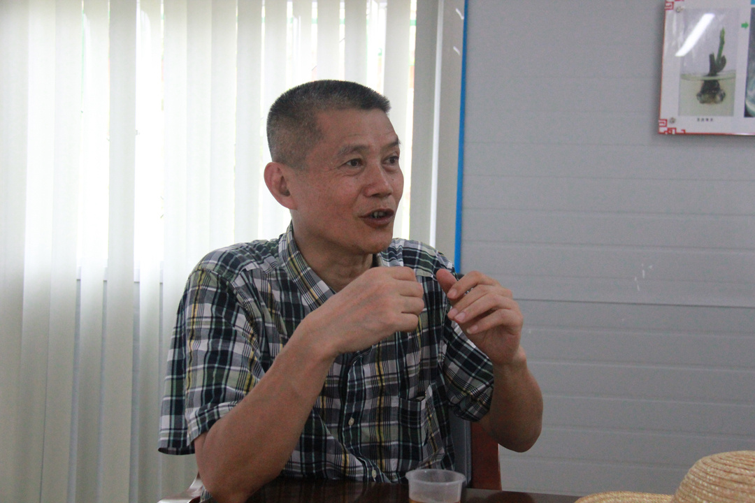 广东麦林生态农业有限公司总经理翁趋华
