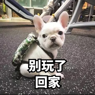 最高将达37东莞发布高温橙色预警请注意防暑降温