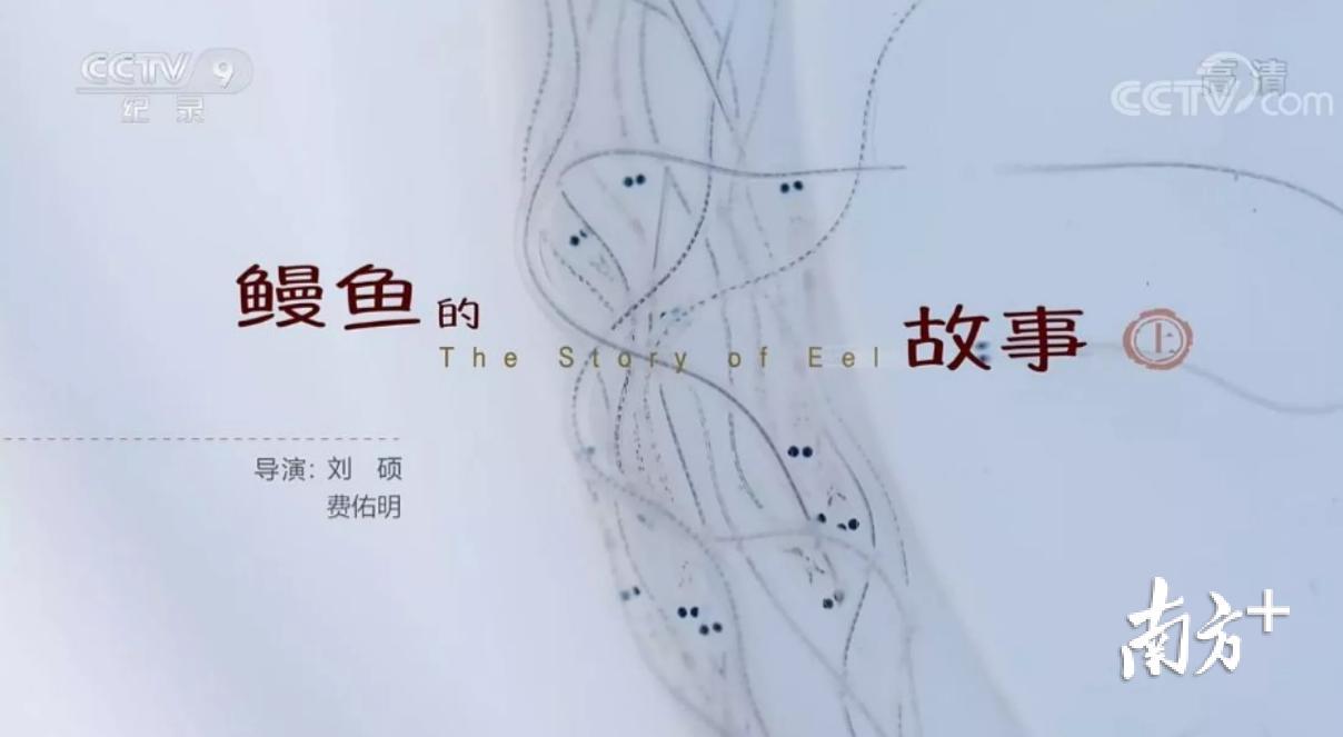 5月20日，《鳗鱼的故事》在央视纪录片频道播出。