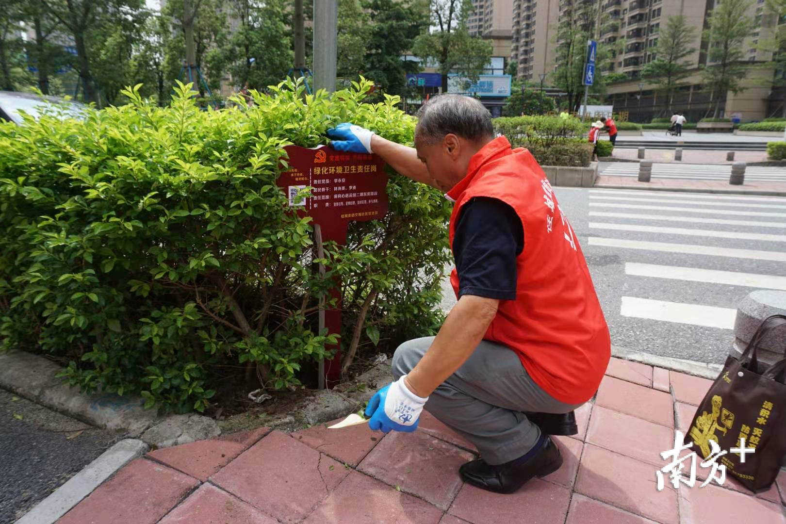 7月14日，桂城街道老党员李永安在文翰社区为人居环境整治插下设岗定责牌。桂城街道供图