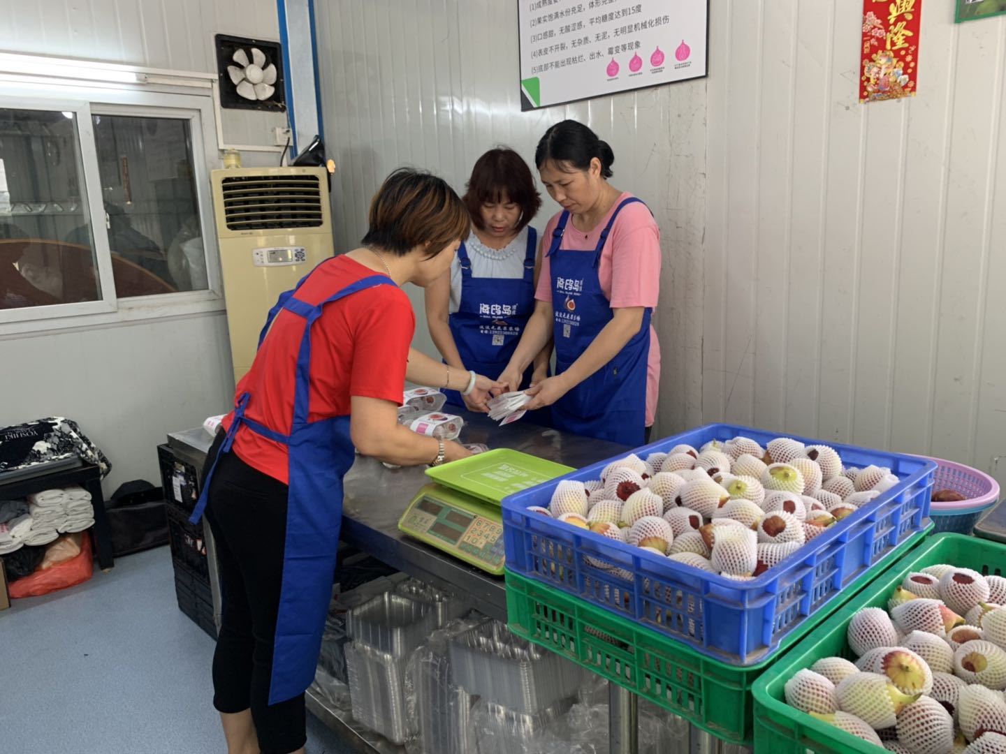 工作人员正在包装今日采摘下的无花果