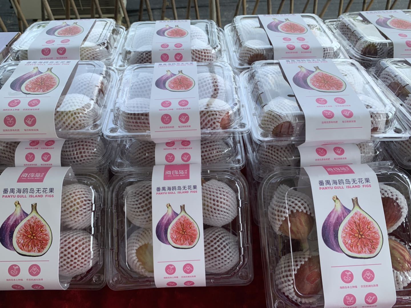 海鸥岛无花果销售包装