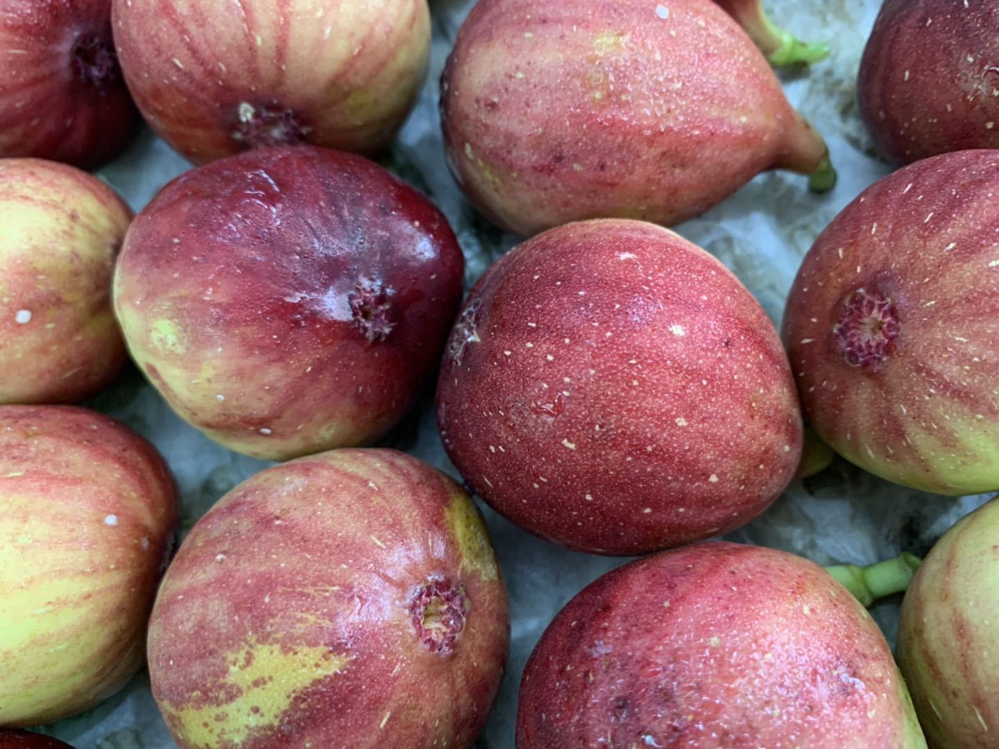 等待挑选、包装的无花果