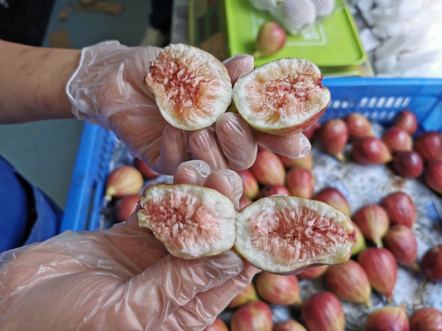口感绵密的海鸥岛无花果