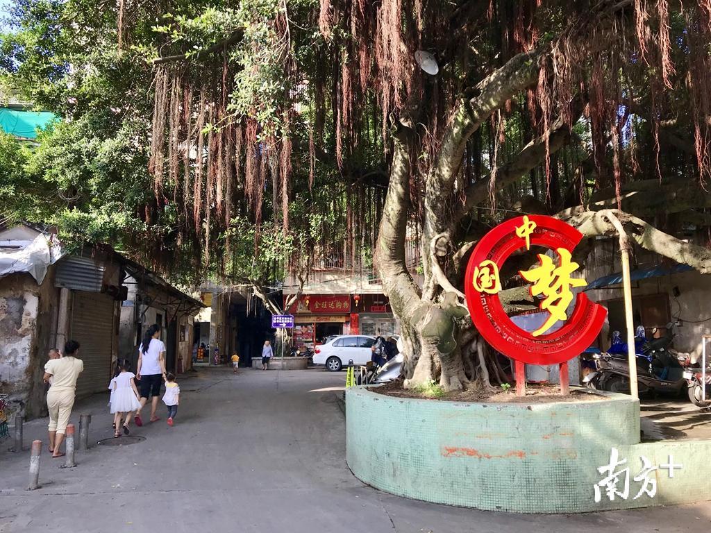 “党建 ”为金誉社区“城中村”带来改变的力量。杨立轩 摄