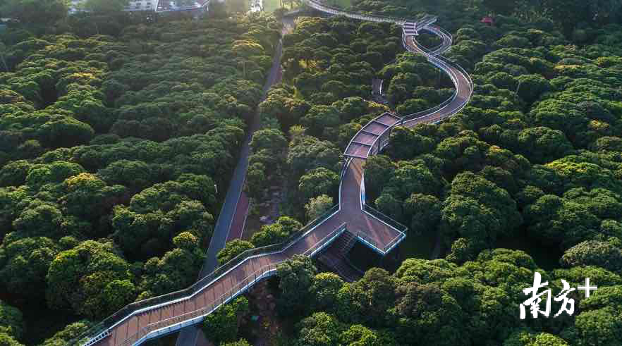 鲁力 摄 鲁力 摄