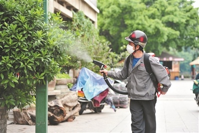 工作人员正在灭蚊。广州日报全媒体记者张宇杰 摄