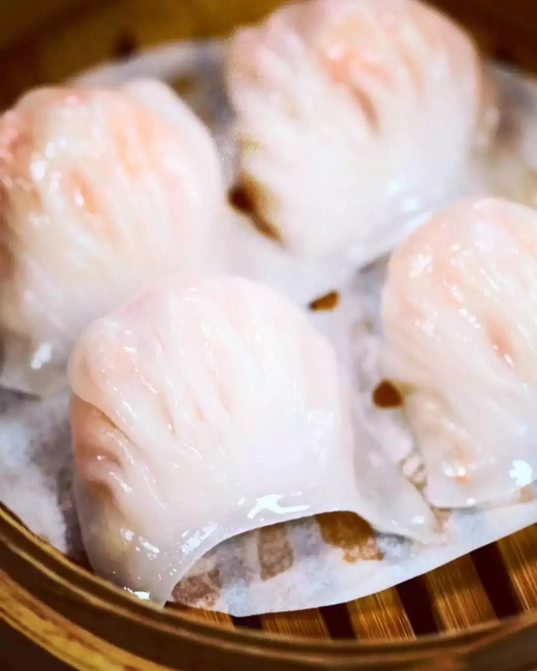 德信体育《七十二家房客》第20季开机这季最大亮点是突出岭南美食