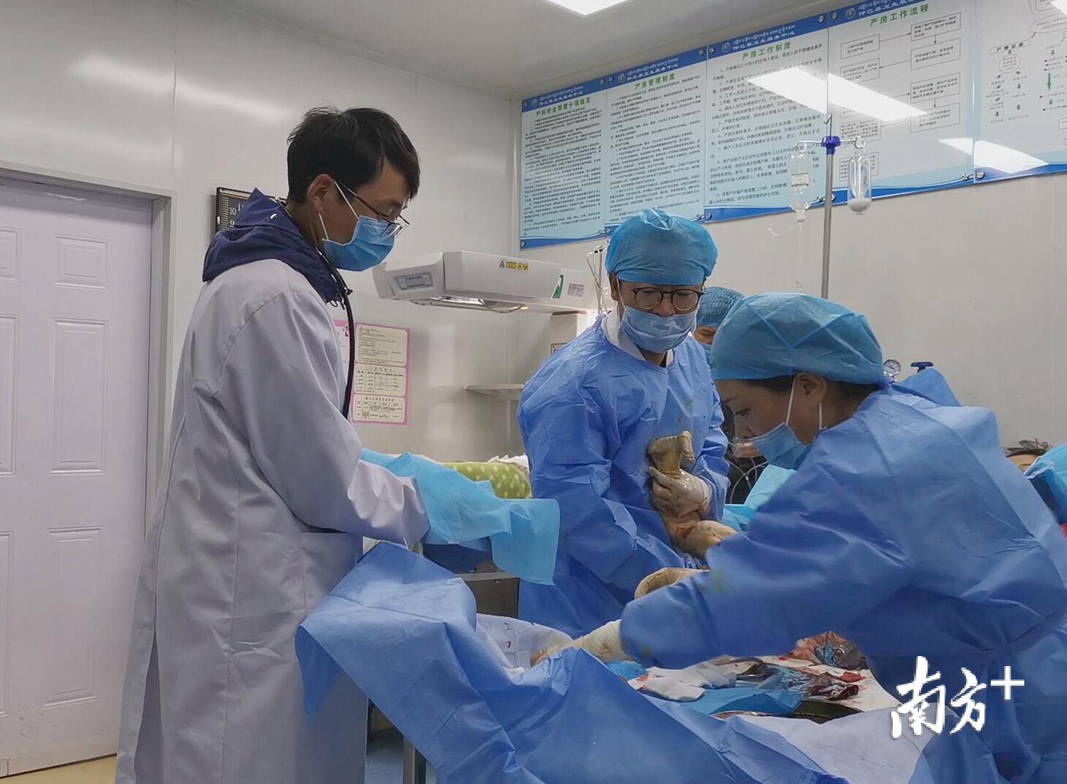 付帅医生和德青曲珍医生接生。 付帅医生和德青曲珍医生接生。