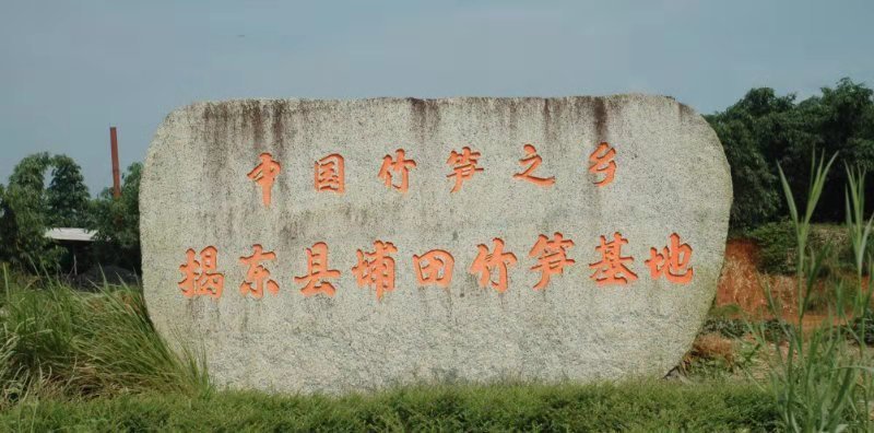 揭东县埔田镇是著名的竹笋之乡,"埔田竹笋"是国家地理标志产品.