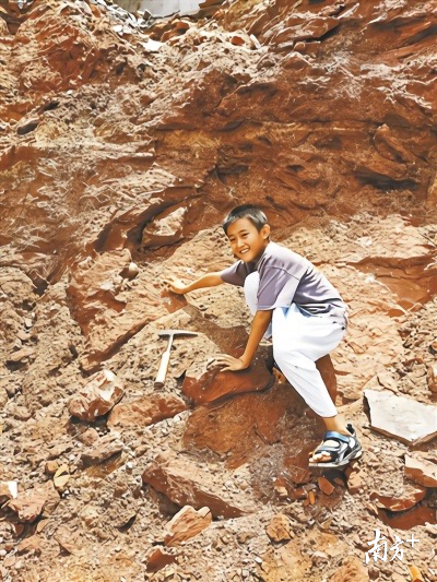  9岁小学生张仰喆在游玩时发现了一枚6600万年前的恐龙蛋。