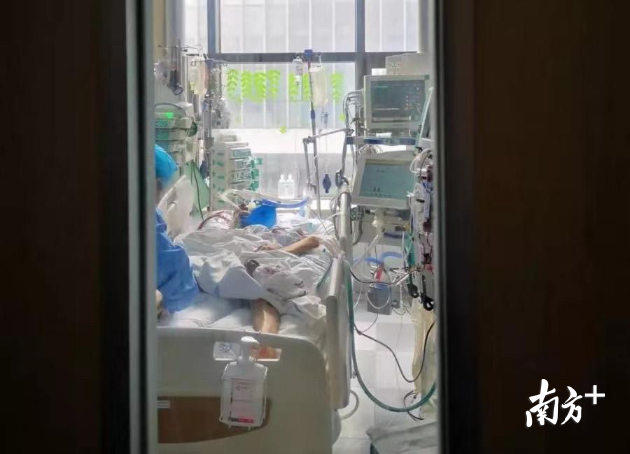 医护团队抢救患者。