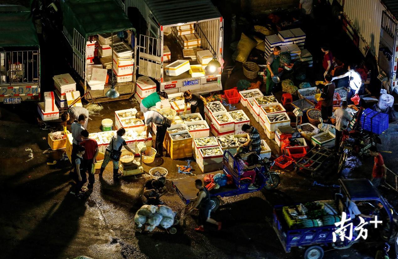 中山光明市场最后一个凌晨留不住时光留下记忆图集