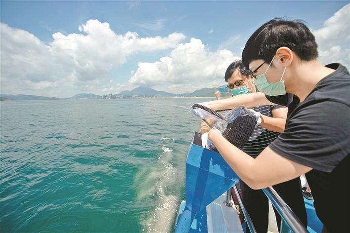 昨日上午，深圳市举办第42次公益海葬活动。是今年继清明节后，首次新增一场海葬活动。