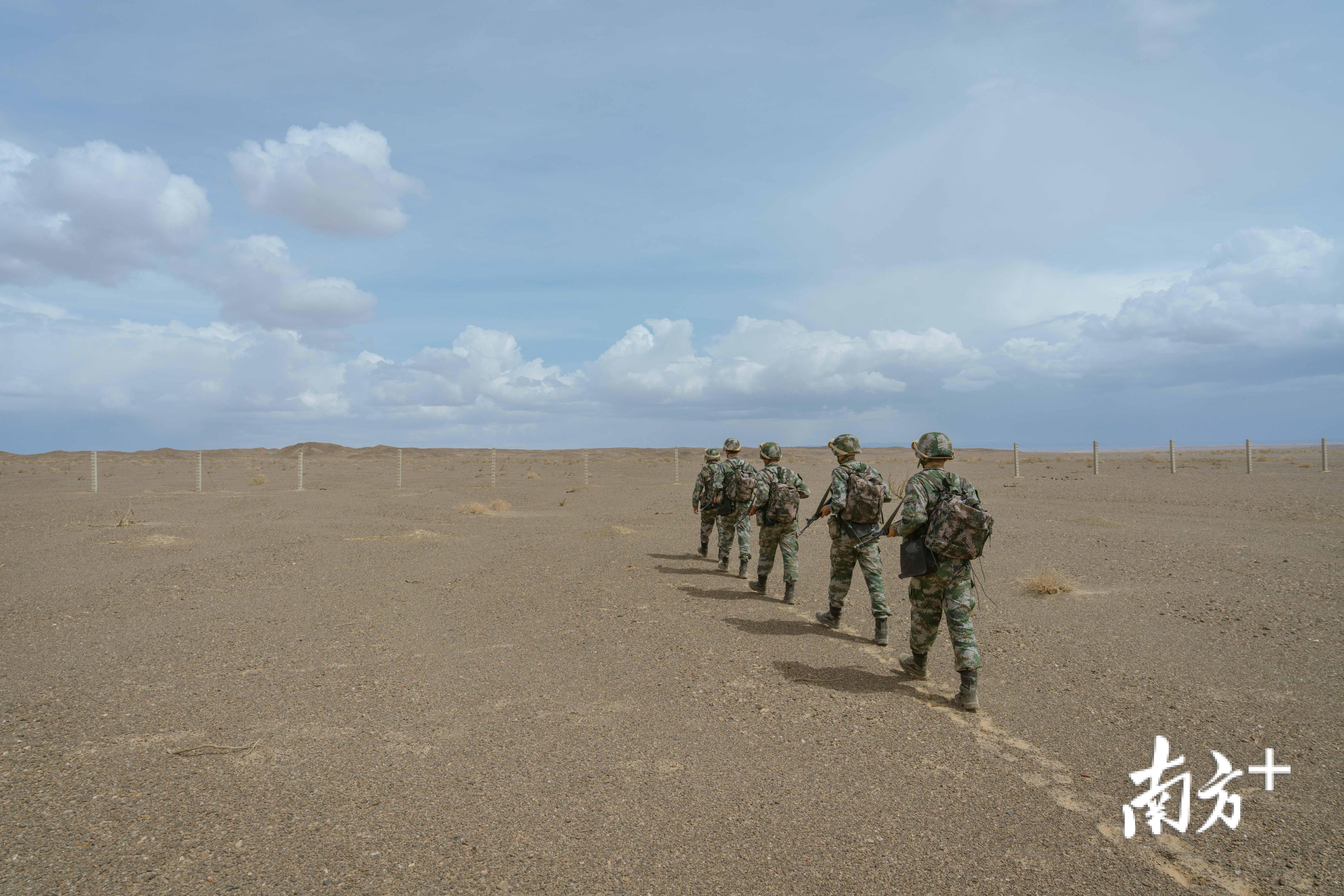 军人版沙漠骆驼图片