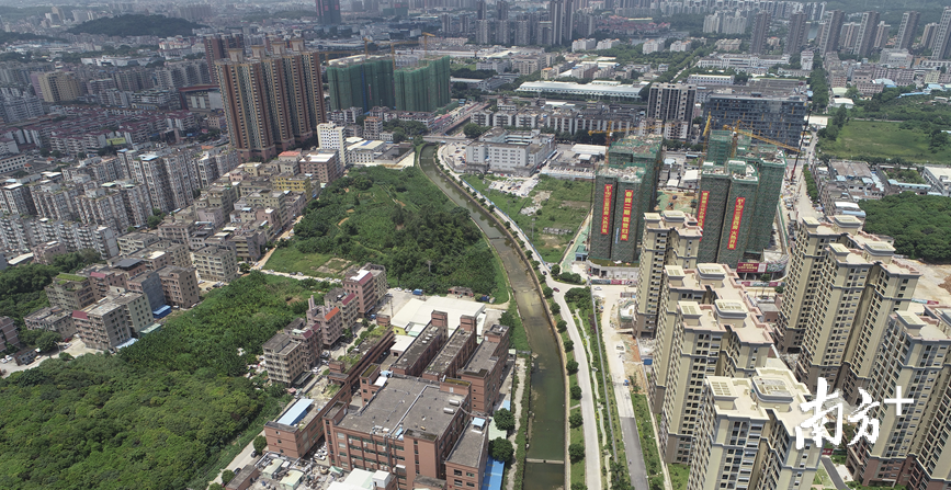 石马河流域的整治让水质得到改善，周围环境质量提升。