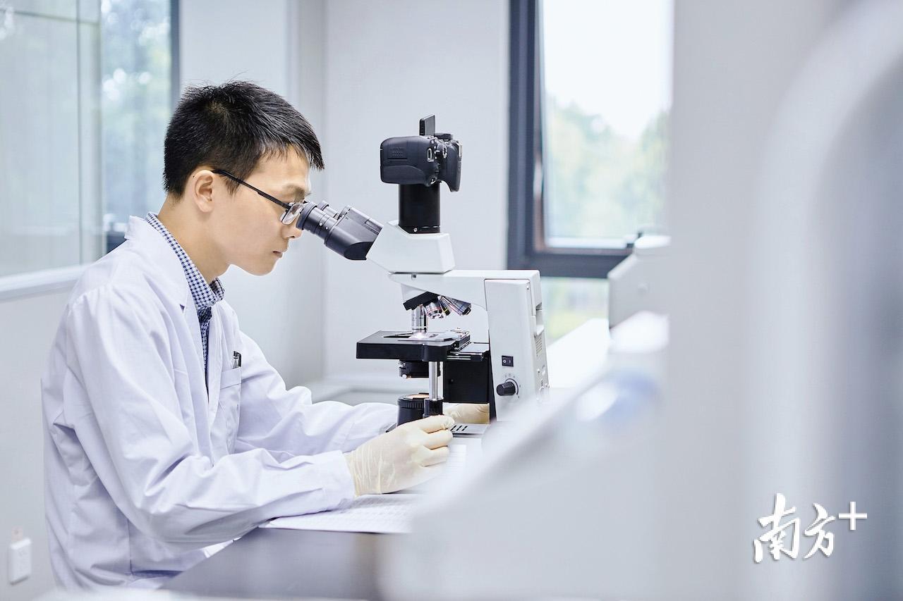 广东体必康生物科技有限公司的研究人员正进行一系列的研究工作。受访者供图