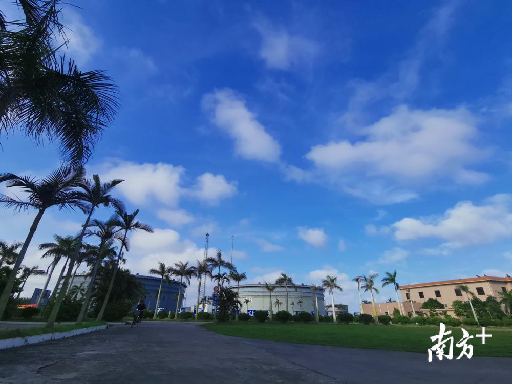 蓝天下的绿色罐区。张博 摄