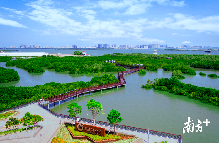 水东湾海洋公园。卢建达 摄 水东湾海洋公园。卢建达 摄
