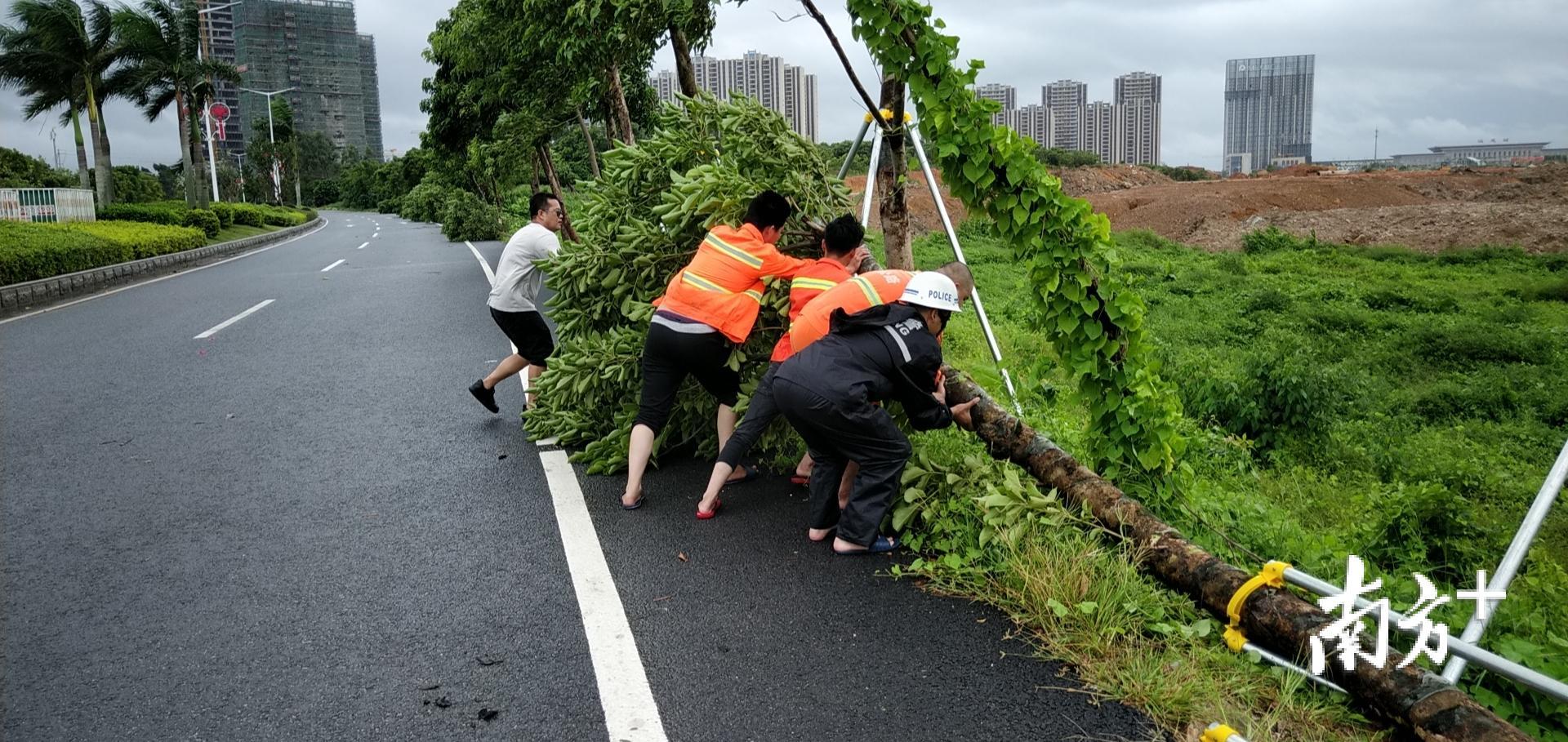 交警和群众一起移开被强风刮倒的树木，排除路面障碍。