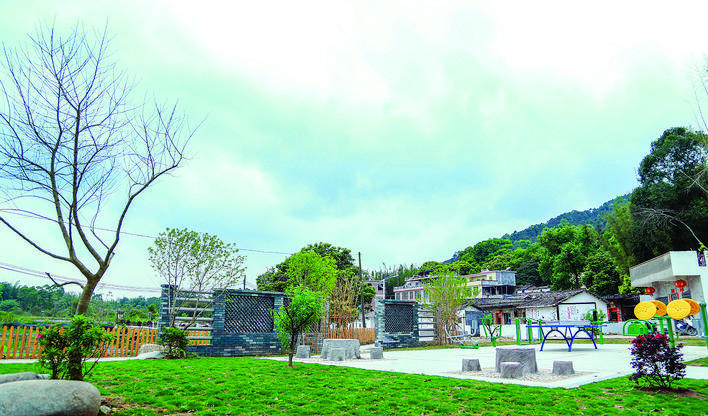 龙城街道城西村房前屋后收拾得干干净净，俨然一幅宁静怡人、美丽舒适的乡间画面。 本组图片 惠州日报记者汤渝杭 摄