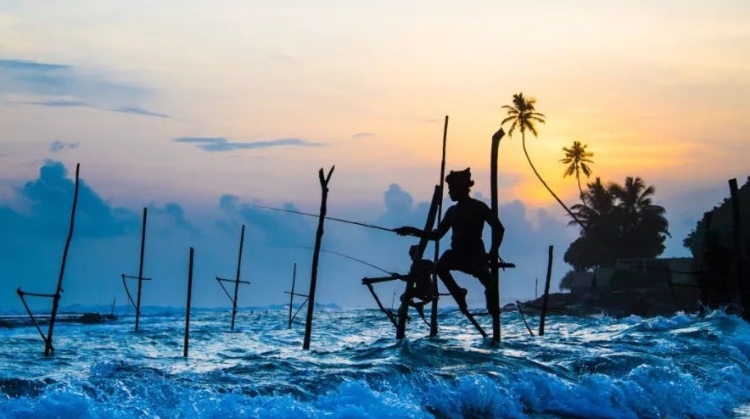 产业观察｜除免签证费，斯里兰卡还需要提升旅游产品的核心竞争力