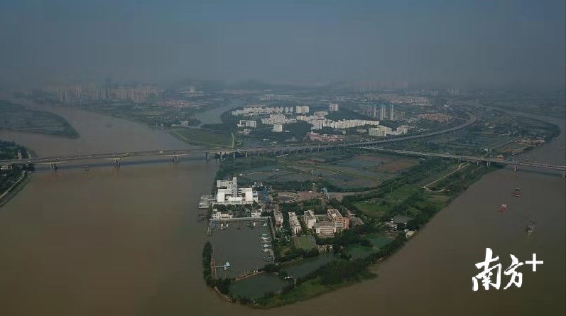 顺港城现状图。顺德区湾区办供图