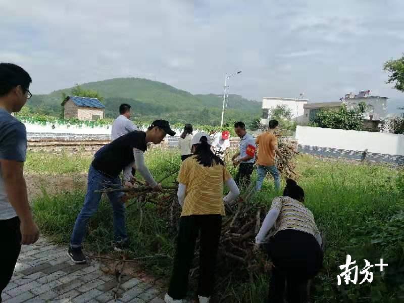 来自华南理工大学的郑红斌协助镇里开展农村人居环境整治。