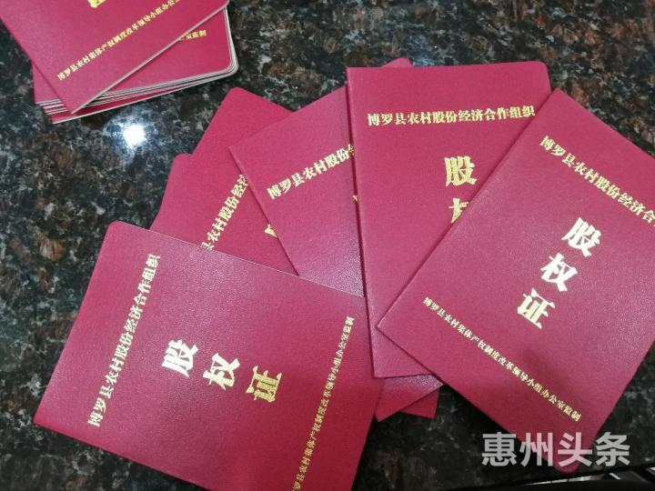 股权证。