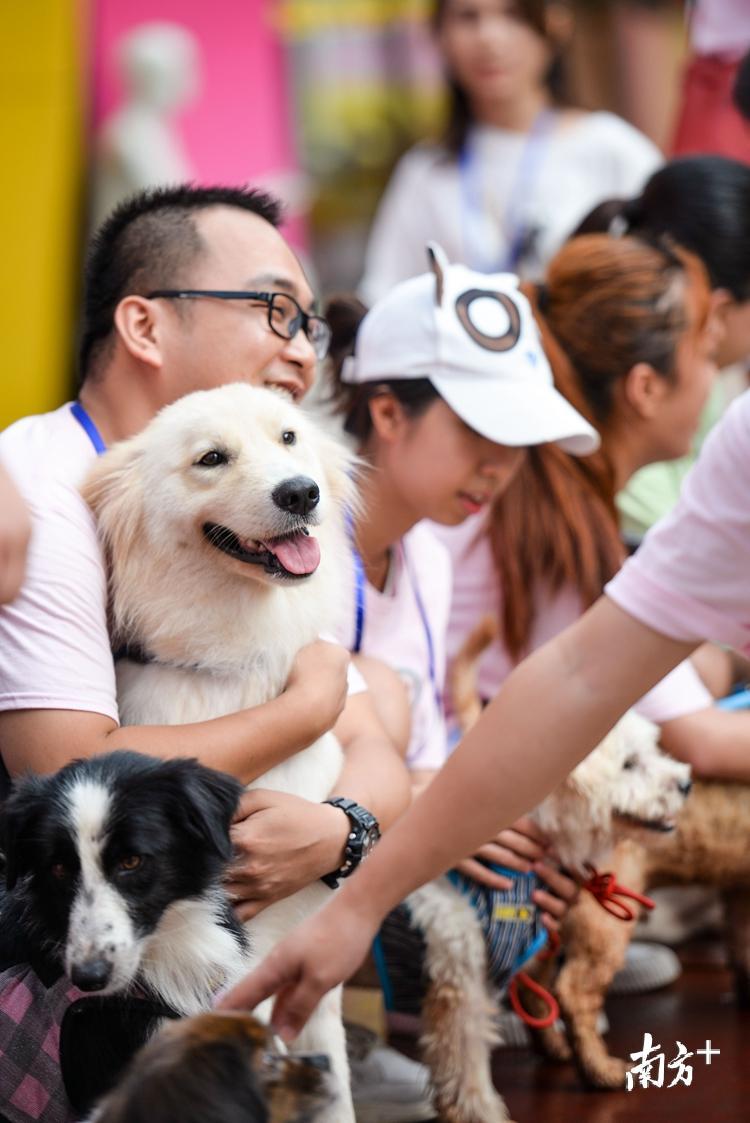 清远首届流浪动物领养活动正在举行