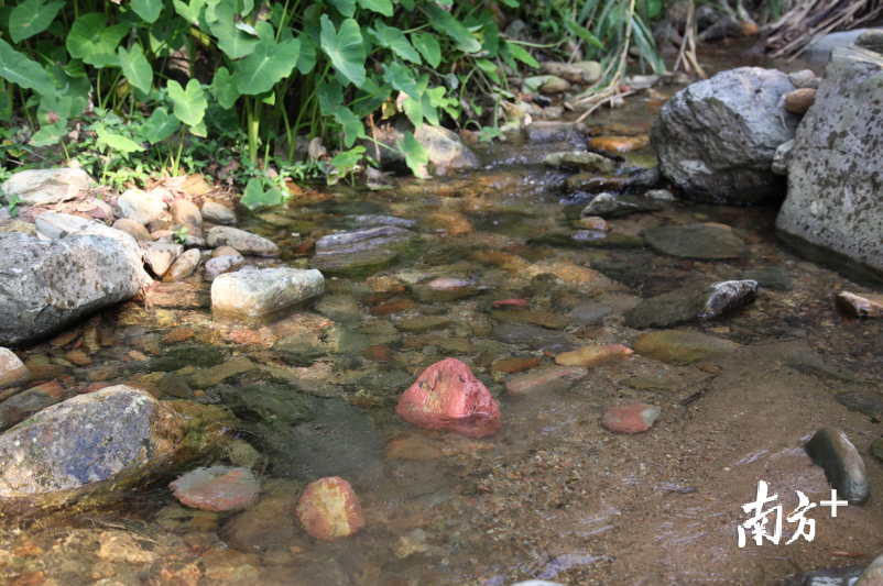 清澈透凉的山溪水中可见多彩的石头 (辛伟杰 摄) 清澈透凉的山溪水中可见多彩的石头 (辛伟杰 摄)