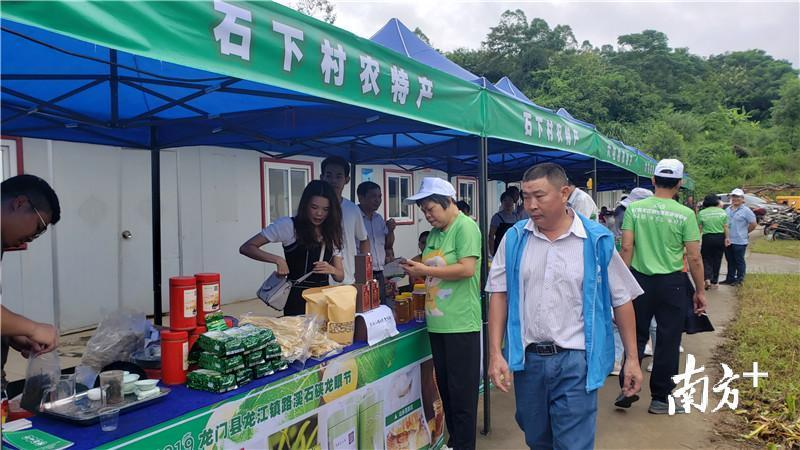 龙门县龙江镇通过连续举办三届龙眼节,打响特色农产品品牌。南方日报记者 梁维春 摄 龙门县龙江镇通过连续举办三届龙眼节,打响特色农产品品牌。南方日报记者 梁维春 摄