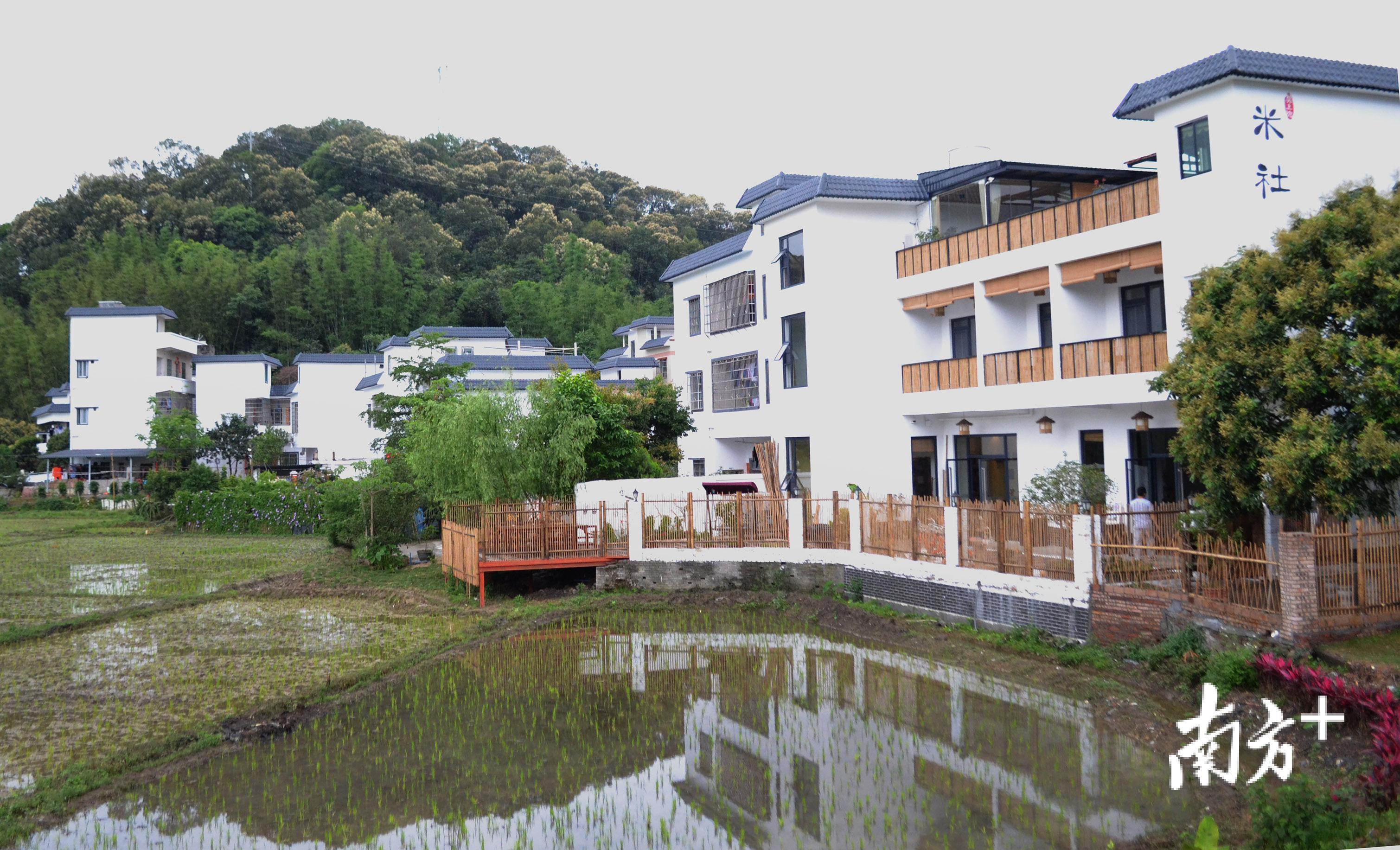 建設生態宜居美麗鄉村從化如何闖出新路