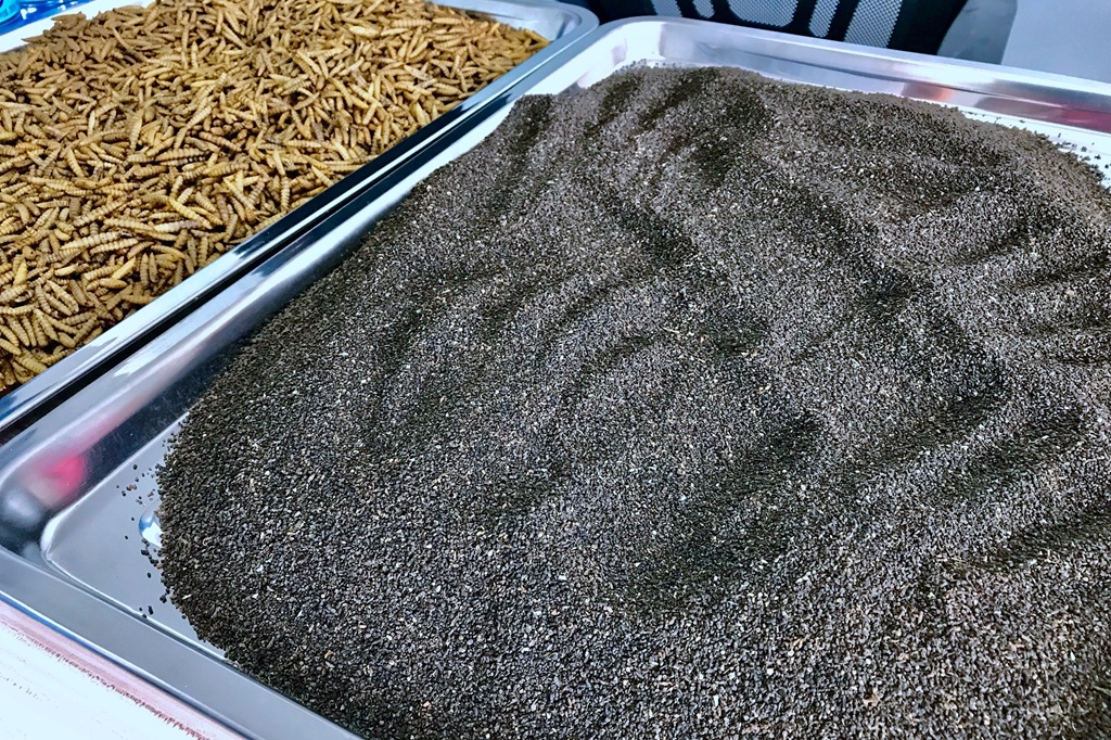 黑水虻产生的粪便,经发酵腐熟后可作为优质生物肥料利用.