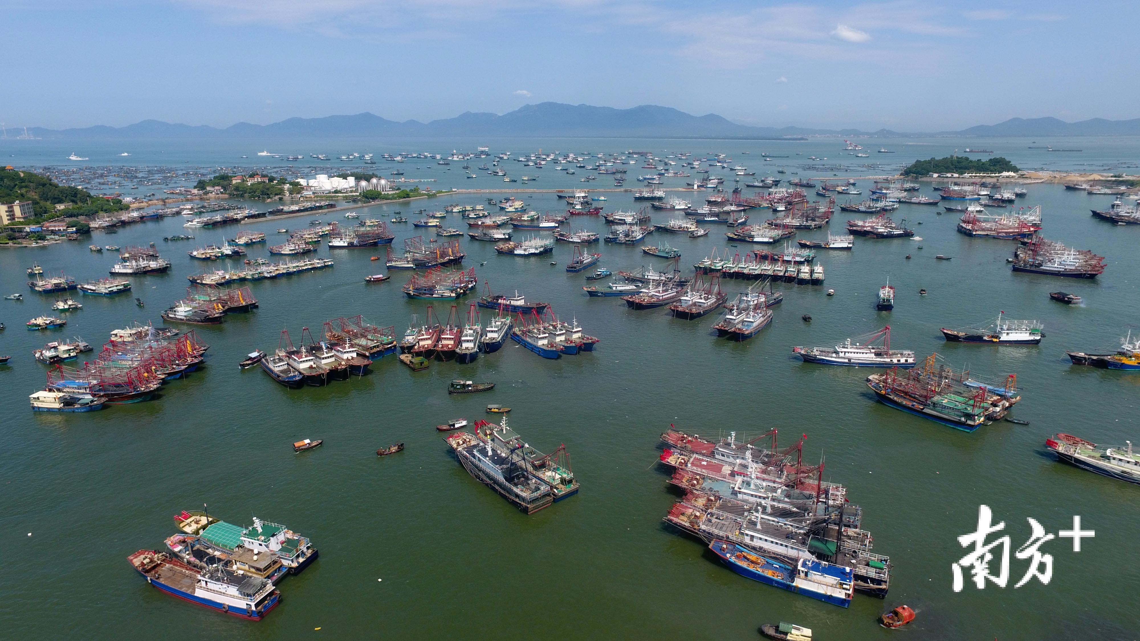 阳江开渔节2022图片