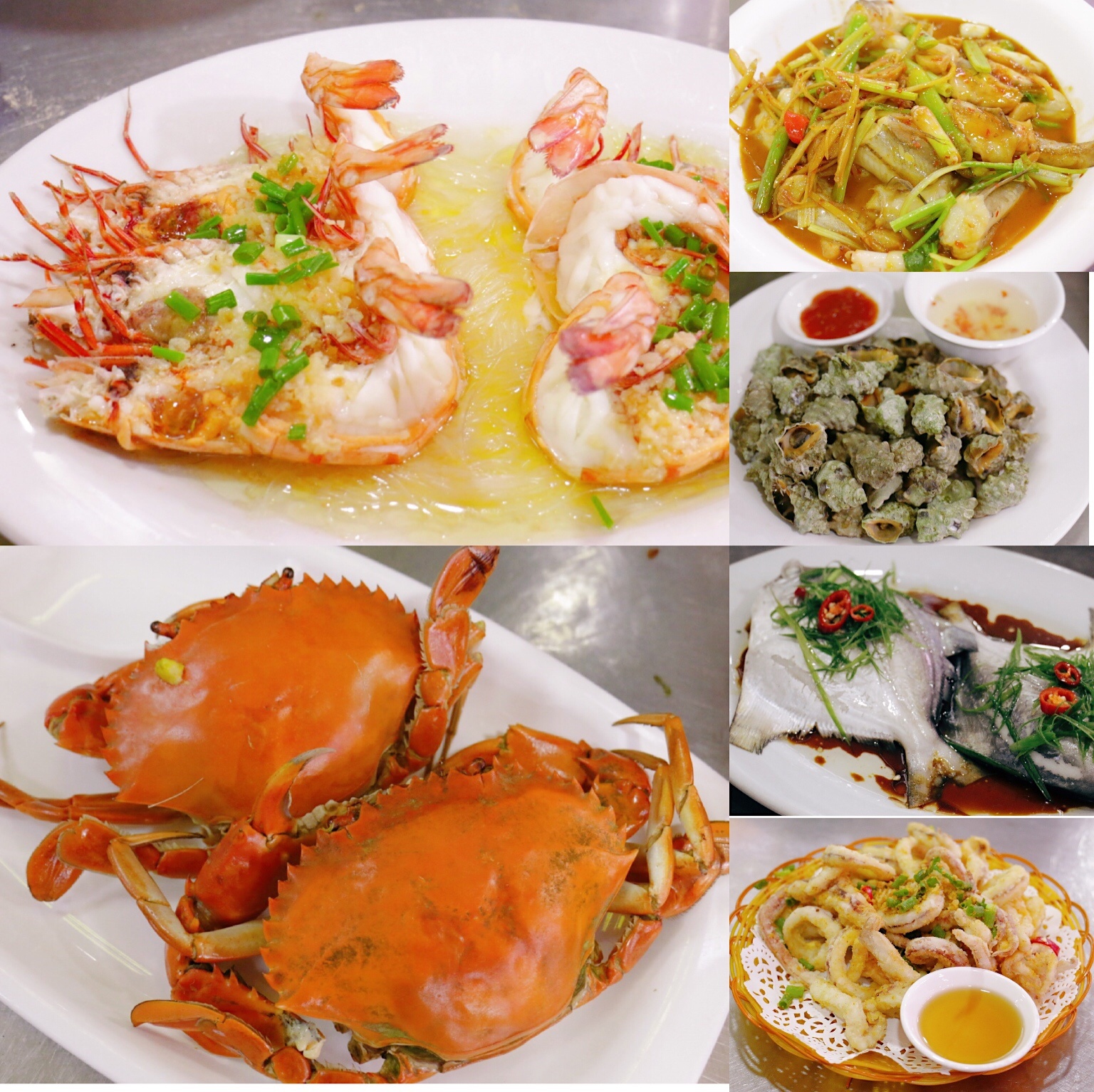 视频 动图|开渔啦!来汕尾赴一场阔别108天的海鲜盛宴_南方plus_南方 