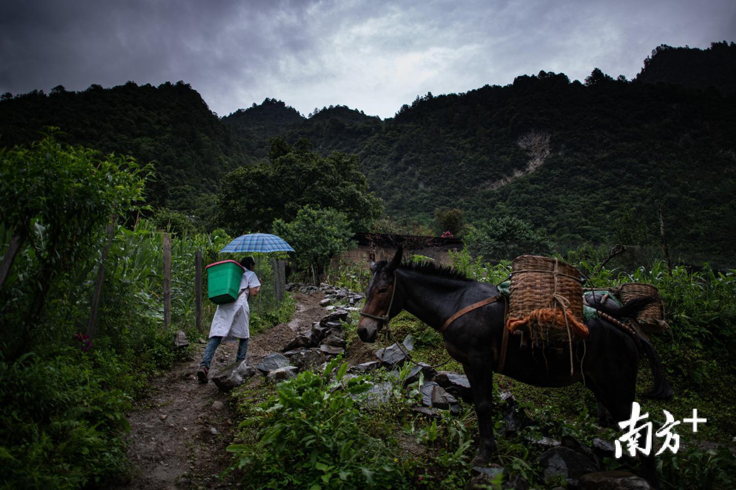丙中洛最远的村庄，管延萍需步行三个小时，翻越一座大山才能到达。