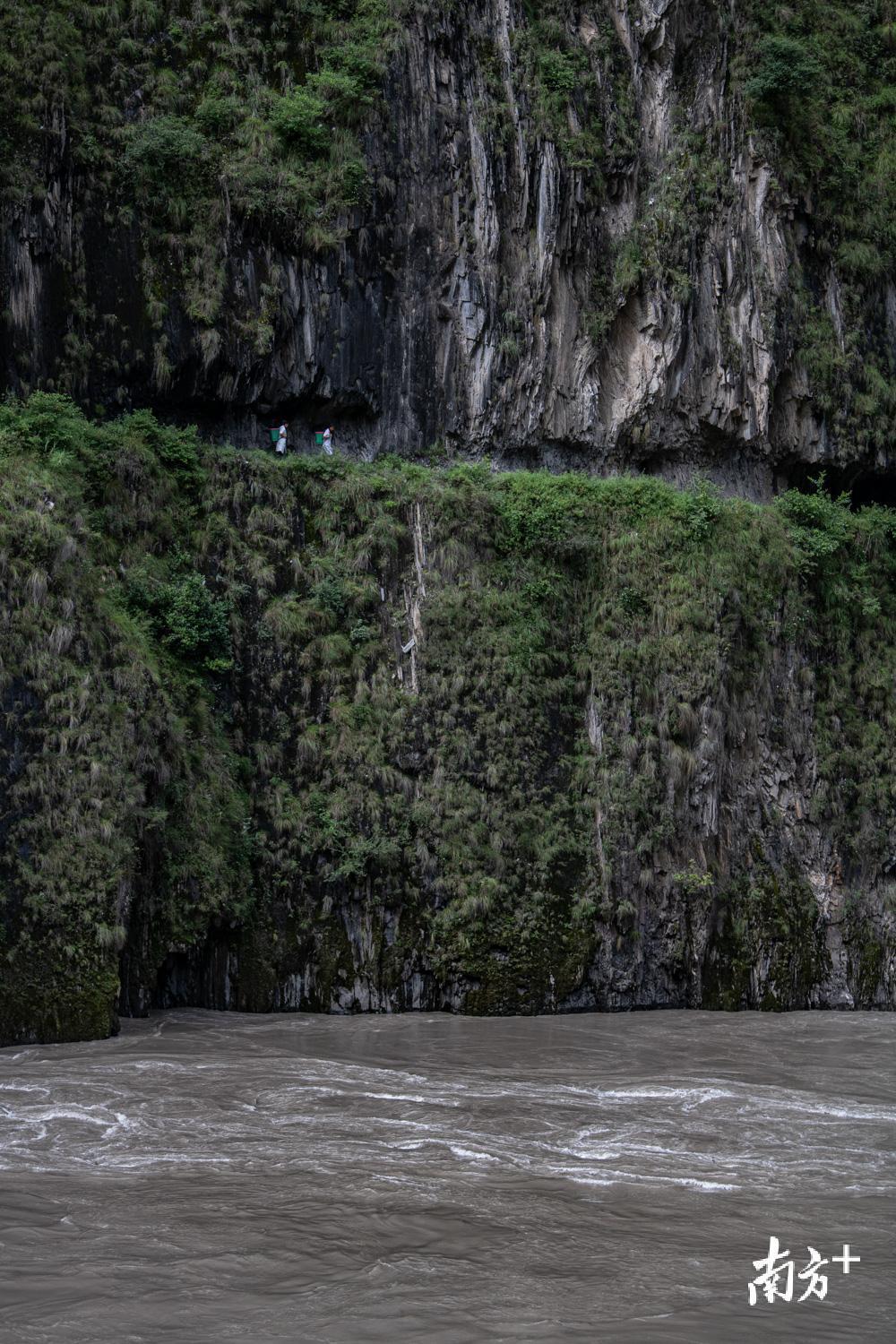 管延萍（右一）和护士林湘背着背篓走在丙中洛的茶马古道上，前往雾里村为村民看病。