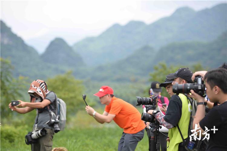 现场50多名摄影爱好者和20多家媒体的镜头纷纷对准采茶志愿者和美丽的茶园,360°全景拍摄纪录千人采茶创世界纪录活动。 曾亮超 摄 现场50多名摄影爱好者和20多家媒体的镜头纷纷对准采茶志愿者和美丽的茶园,360°全景拍摄纪录千人采茶创世界纪录活动。 曾亮超 摄