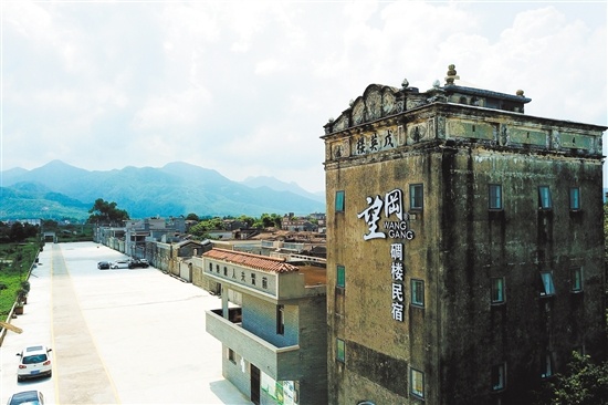 目前望岗村的民宿在珠三角一带小有名气。